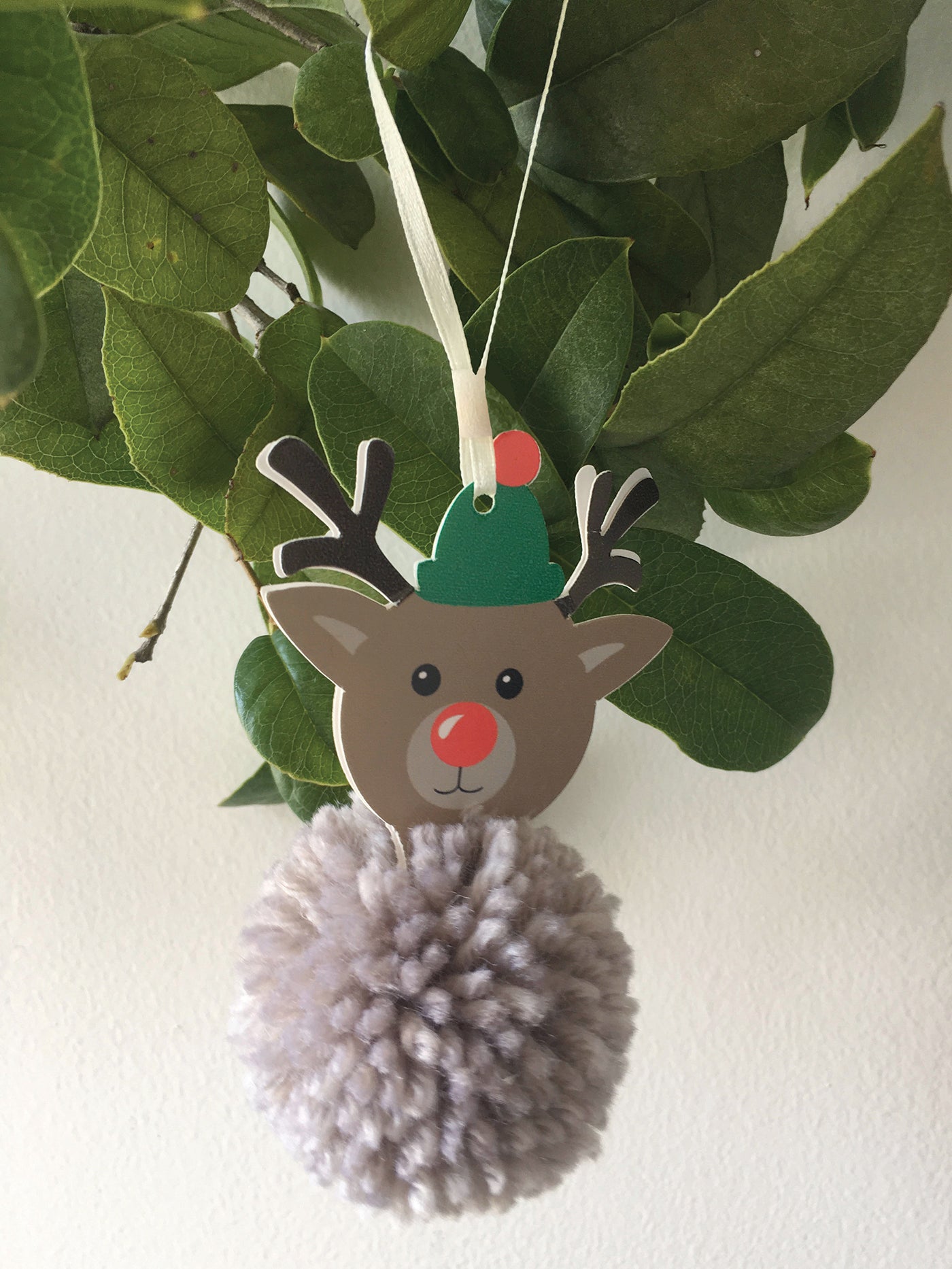 Pompom Decoration Kit - Reindeer